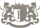 Logo FSV